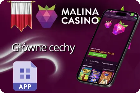 Główne cechy Malina Casino