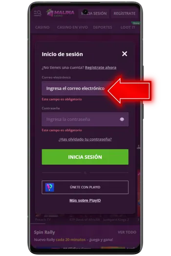 Introduce tu dirección de email