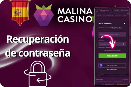Recuperación de contraseña Malina Casino
