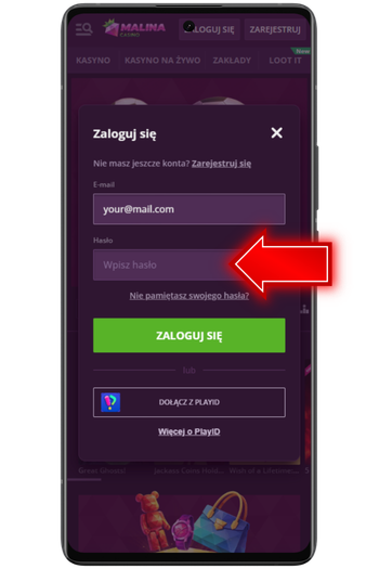 Wpisz hasło