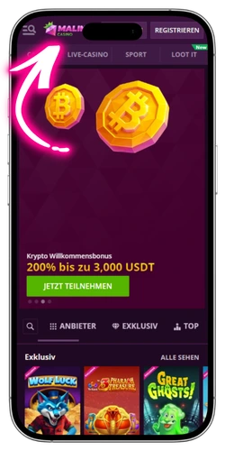 Malina Casino offizielle Website besuchen Deutschland