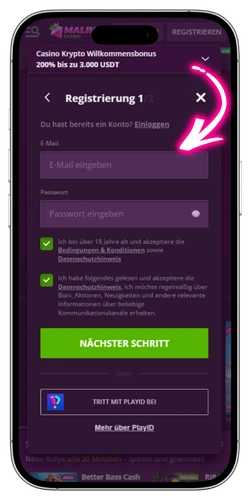 Malina Casino E-Mail und Passwort eingeben Deutschland