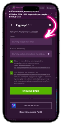Malina Casino εισαγωγή email και κωδικού